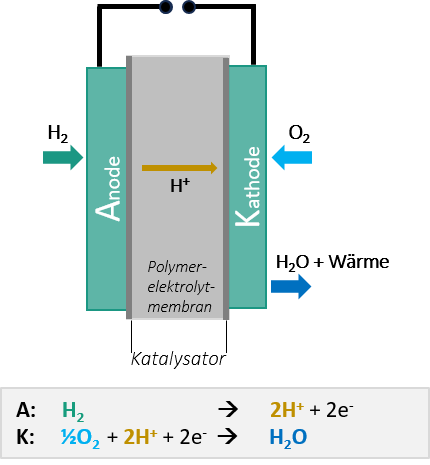 Abbildung 1: Darstellung der Funktionsweise der PEM- Brennstoffzelle.
