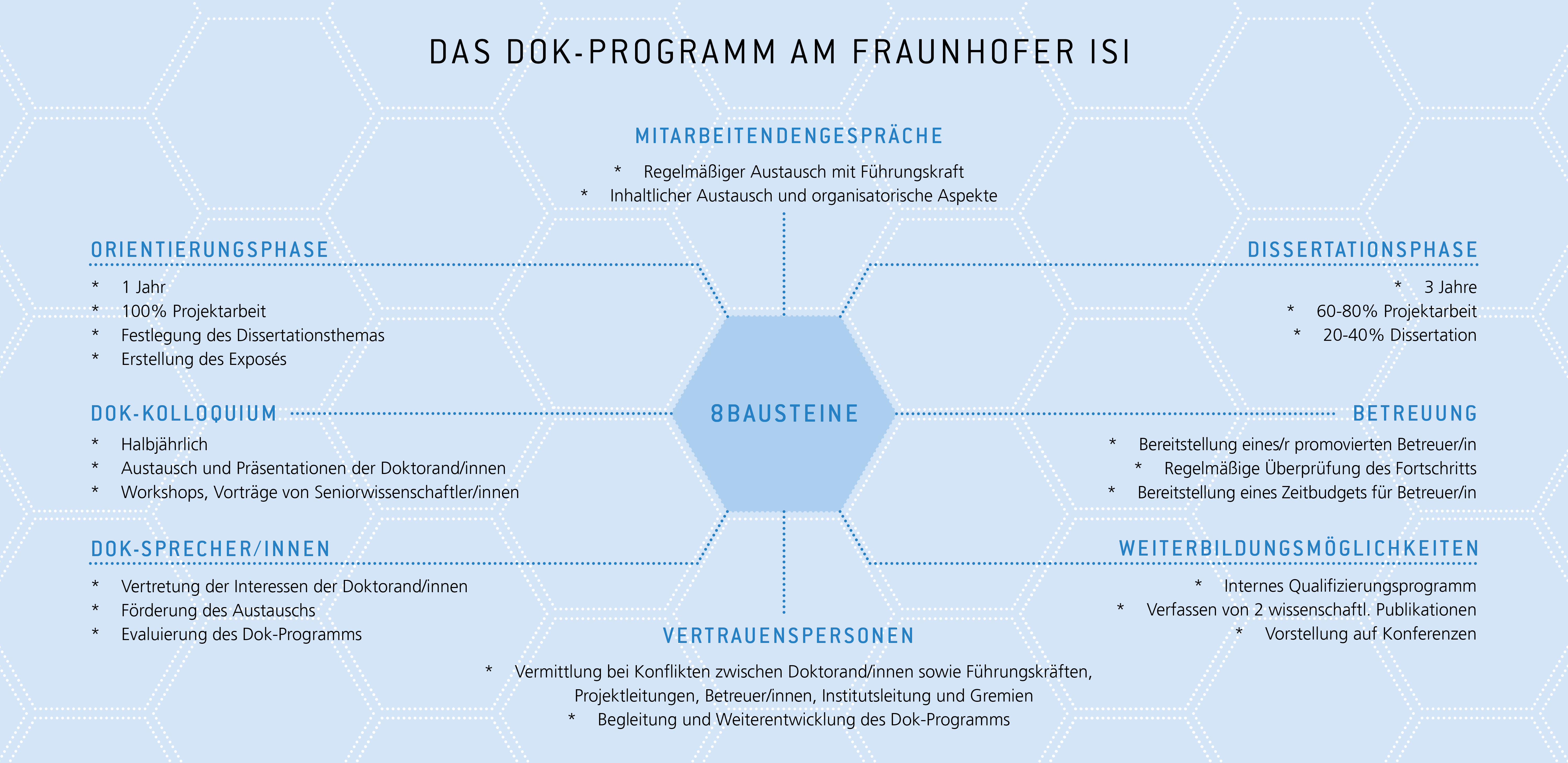 Programm zur Erstellung von Dissertationen am Fraunhofer ISI